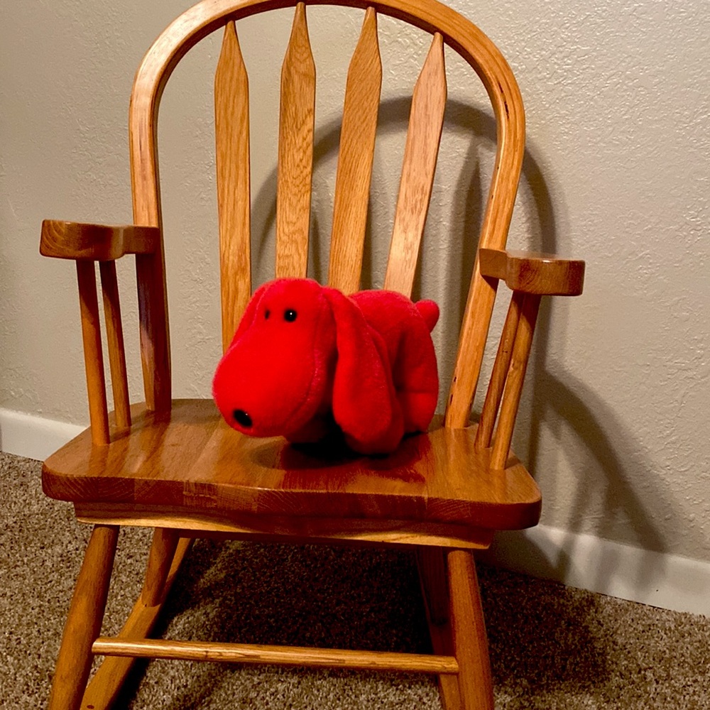 TY Beanie Baby Buddy “Rover” 1998